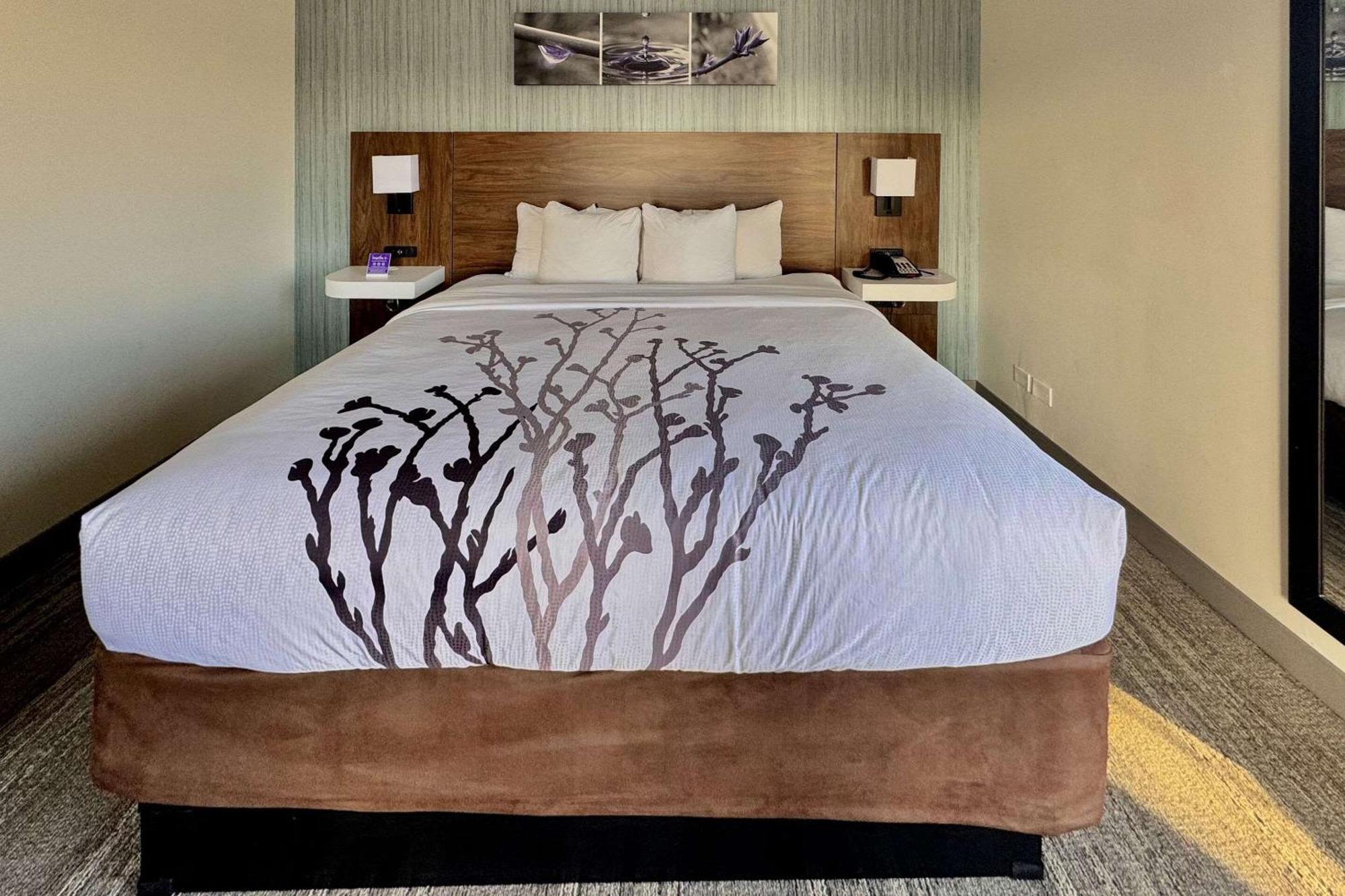 Sleep Inn Oakbrook Terrace - Chicago Eksteriør billede